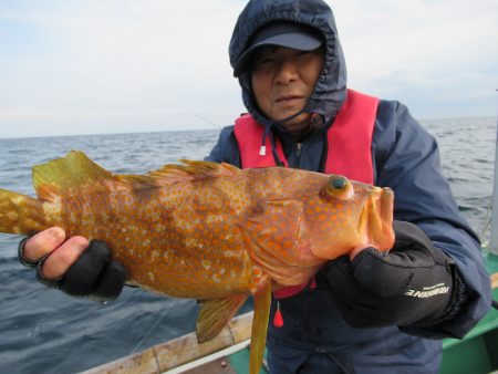 真祐丸 (しんゆうまる) 釣果