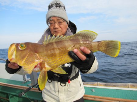 真祐丸 (しんゆうまる) 釣果