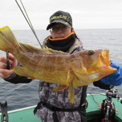 真祐丸 (しんゆうまる) 釣果