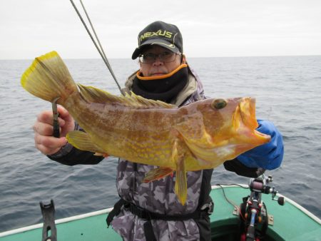 真祐丸 (しんゆうまる) 釣果