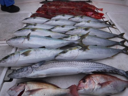 ＪＤＩ　Ｒａｃｉｎｇ　シールズマリンレジャ…