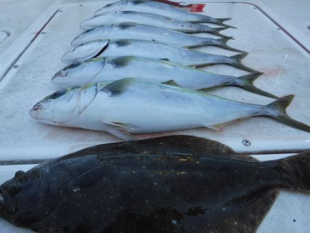 ＪＤＩ　Ｒａｃｉｎｇ　シールズマリンレジャ…