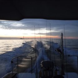 JDI Racing シールズマリンレジャー 釣果