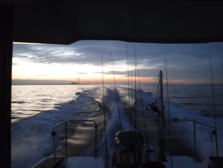 JDI Racing シールズマリンレジャー 釣果