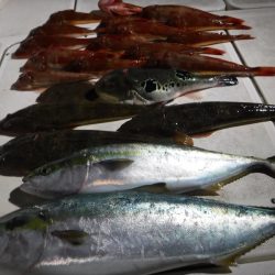 JDI Racing シールズマリンレジャー 釣果