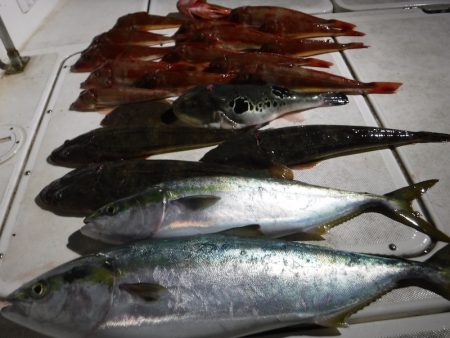 ＪＤＩ　Ｒａｃｉｎｇ　シールズマリンレジャ…