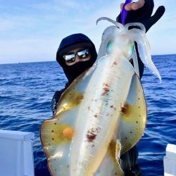 South Current 釣果