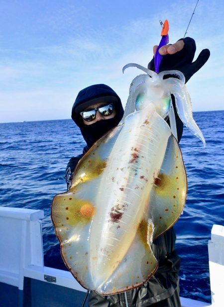 South Current 釣果