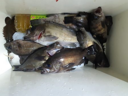 KIM Fishing Guide Ser…