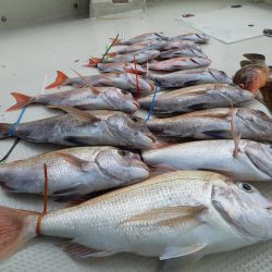 KIM Fishing Guide Service 釣果
