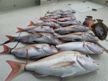 KIM Fishing Guide Ser…