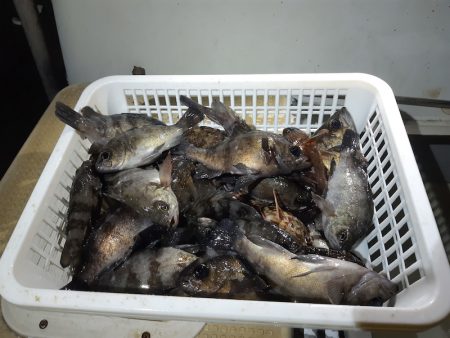 KIM Fishing Guide Ser…