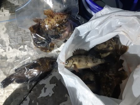 KIM Fishing Guide Service 釣果