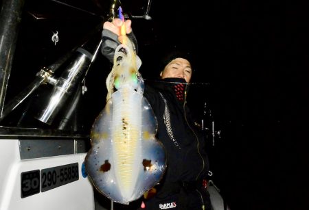 South Current 釣果