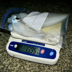 South Current 釣果