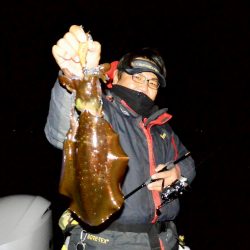 South Current 釣果