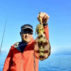 South Current 釣果