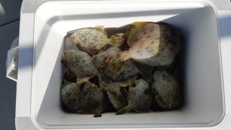 KIM Fishing Guide Service 釣果