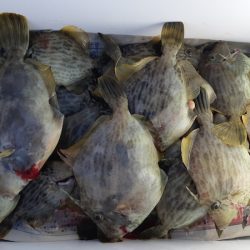 KIM Fishing Guide Service 釣果