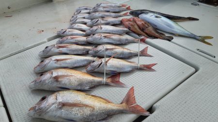 KIM Fishing Guide Ser…