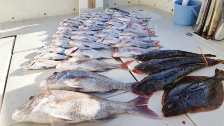 KIM Fishing Guide Ser…