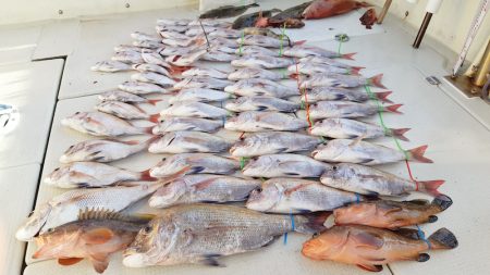 KIM Fishing Guide Ser…