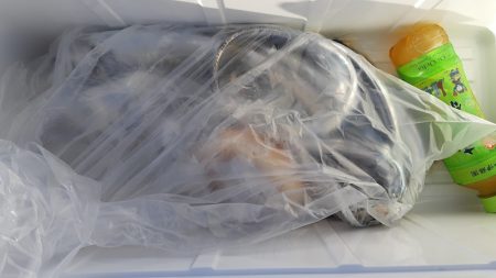 KIM Fishing Guide Service 釣果