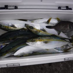 BlueNote Fishing Taxi 釣果