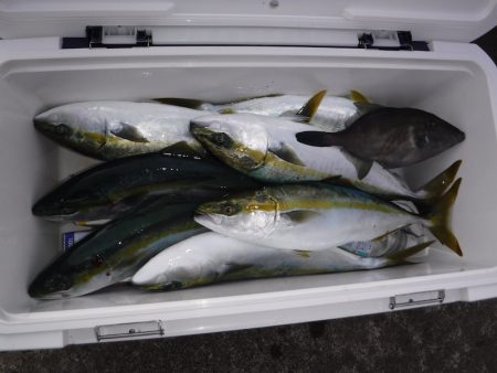 BlueNote Fishing Taxi 釣果