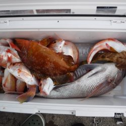 BlueNote Fishing Taxi 釣果