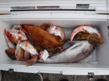 BlueNote Fishing Taxi 釣果