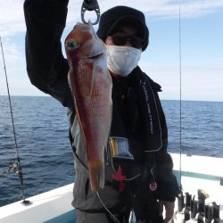 BlueNote Fishing Taxi 釣果