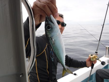 ＢｌｕｅＮｏｔｅ　Ｆｉｓｈｉｎｇ　Ｔａｘｉ 釣果