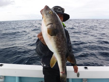 ＢｌｕｅＮｏｔｅ　Ｆｉｓｈｉｎｇ　Ｔａｘｉ 釣果