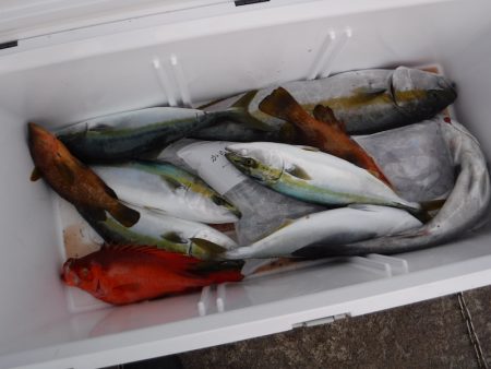 BlueNote Fishing Taxi 釣果