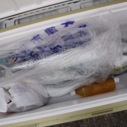 BlueNote Fishing Taxi 釣果