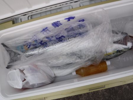 BlueNote Fishing Taxi 釣果