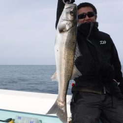 ＢｌｕｅＮｏｔｅ　Ｆｉｓｈｉｎｇ　Ｔａｘｉ 釣果