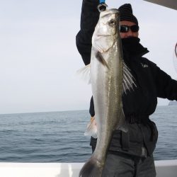 ＢｌｕｅＮｏｔｅ　Ｆｉｓｈｉｎｇ　Ｔａｘｉ 釣果