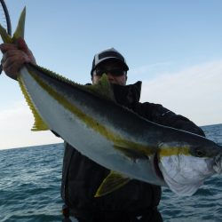 ＢｌｕｅＮｏｔｅ　Ｆｉｓｈｉｎｇ　Ｔａｘｉ 釣果
