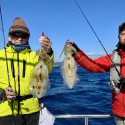 South Current 釣果