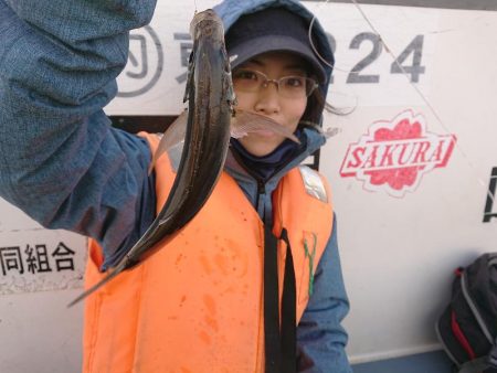 深川 吉野屋 釣果