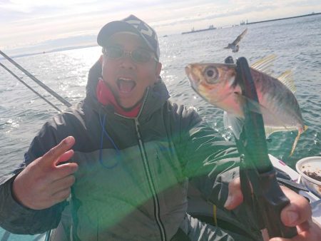 深川 吉野屋 釣果