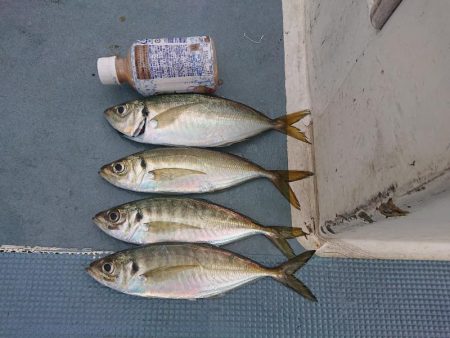 深川 吉野屋 釣果