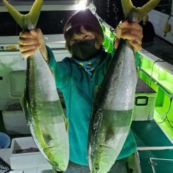 ゆたか丸 釣果