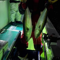 ゆたか丸 釣果