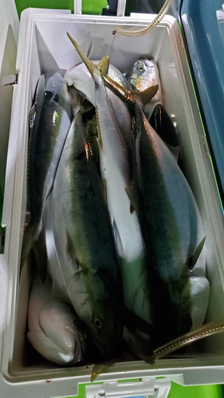ゆたか丸 釣果