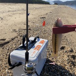 アッパーキャストジグは感度抜群【がまかつちょい投げ　インプレッション】