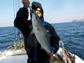 釣船　キティ 釣果