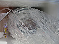 遊漁船 未紗奈 釣果